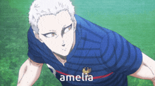a man in a blue striped shirt with the word amelia on the front
