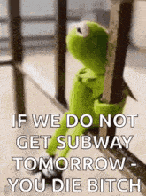 Sussa GIF