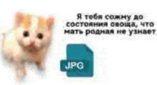 a picture of a cat next to a jpeg file .