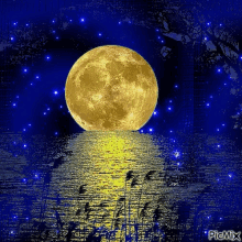 Goodnight Moon GIF - Goodnight Moon Solemn GIFs