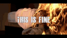 This Is Fine How To Destroy Angels GIF - This Is Fine How To Destroy Angels How GIFs