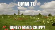 Binley Binley Mega Chipps GIF - Binley Binley Mega Chipps Funny GIFs