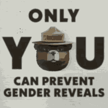 Only You Can Prevent Gender Reveals Forest Fire GIF - Only You Can Prevent Gender Reveals Gender Reveal Forest Fire GIFs