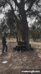a group of people sitting under a tree in a forest