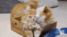 Boxing Funny As Hell GIF