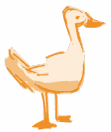 duck goose guck duck is lord bouncy