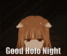 a picture of a girl with a fox ear and the words good holo night