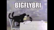 Big Fly Bri Marlins GIF - Big Fly Bri Marlins GIFs
