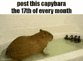 a capybara is sitting in a bathtub next to ducklings and the words post this capybara the 17th of every month