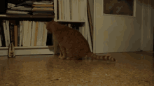Metronome GIF - Cats Ticktock Metronome GIFs