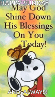 snoopy is wearing sunglasses and has a butterfly on his head .