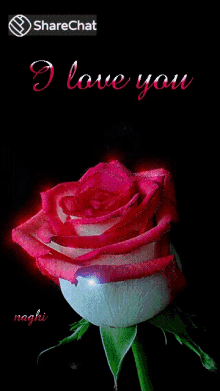 I Love You Lover GIF - I Love You Lover A Rose GIFs