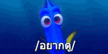 อยากดู GIF - Finding Nemo Lemme See Wanna See GIFs