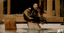 Diving American Top Dog GIF - Diving American Top Dog Dog GIFs