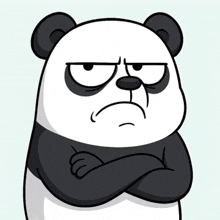 a panda bear with his arms crossed looks angry