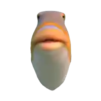 a picture of a fish with its mouth open