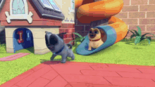 two pugs are playing in front of a doghouse and a slide