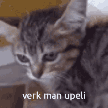 Katinas Verk GIF - Katinas Verk Verk Man GIFs