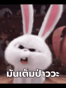 Bunny Taex2 GIF - Bunny Taex2 เต็มป่าววะ GIFs