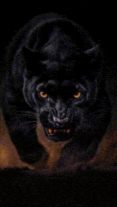 a painting of a black panther with glowing eyes