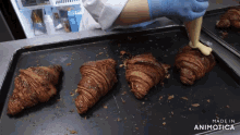 three croissants on a tray with the words made in animotica on the bottom