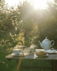 Breakfast Tea GIF - Breakfast Tea Outdoors GIFs
