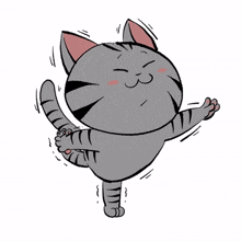 cute cat kitty gray happy