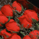 a bunch of red roses are in a box