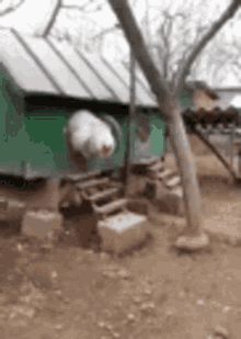 Rooster Walking GIF - Rooster Walking Getting Out GIFs