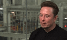 Elon Musk Nope GIF - Elon Musk Elon Nope GIFs