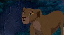What Nala Lion King GIF - What Nala Lion King GIFs