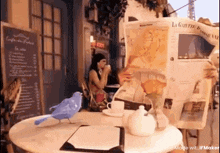 a woman sits at a table reading a newspaper while a blue bird sits on the table .