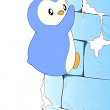 a blue and white penguin is standing next to a wall