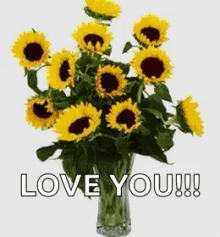 Have A Nice Day Love You GIF - Have A Nice Day Love You Sunflower GIFs