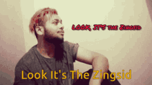 The Zingsid GIF - The Zingsid GIFs