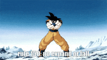 Rule150 No Expand Or Fall GIF - Rule150 No Expand Or Fall Goku GIFs
