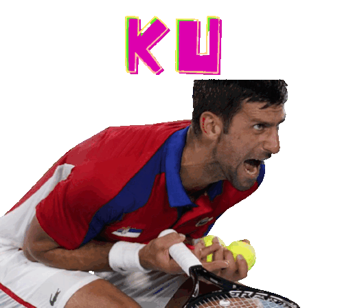Novak Kata Sticker - Novak Kata Karate Stickers