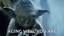 May The Force Be With You Young Rumbra GIF
