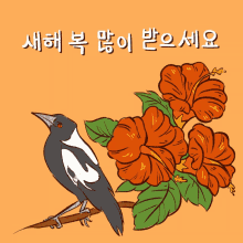 새해 한국 GIF