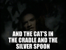 ugly kid joe and the cats in the cradle and the silver spoon cats in the cradle