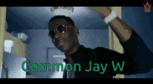 Jay Bird Jay W GIF - Jay Bird Jay W Common Jay W GIFs