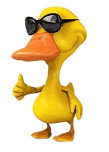 duck like duck herve duck cool cool