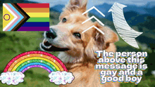 a dog with a rainbow and the words " the person above this message is gay and a good boy " below it