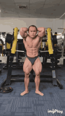 GIF