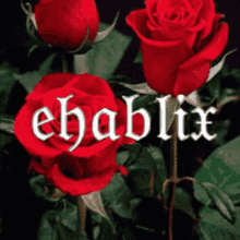 Roses Flowers GIF - Roses Flowers Animated GIFs