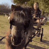 Pony Mini GIF - Pony Mini Carriage GIFs