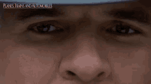 Staring Neal Page GIF - Staring Neal Page Steve Martin GIFs