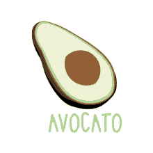 avocado cat avocato nicoleduret