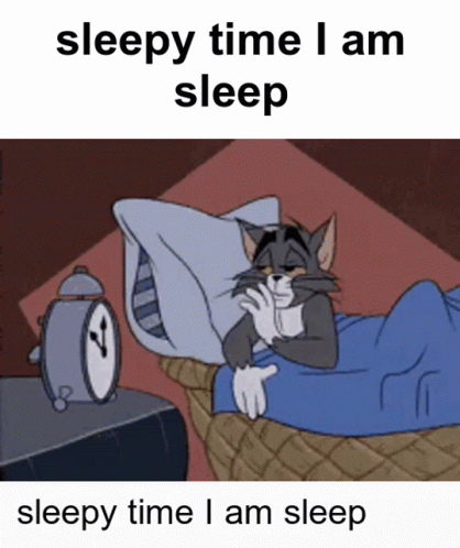 ¿Importancia de dormir bien?