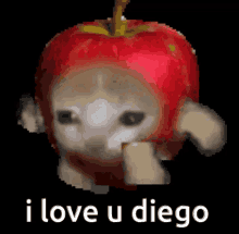 I Love Diego Diego GIF